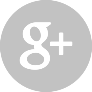 google-plus-icon-grey